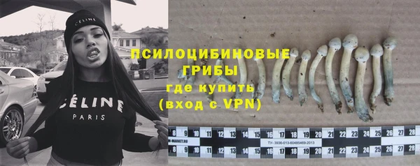 соль ск Алексеевка